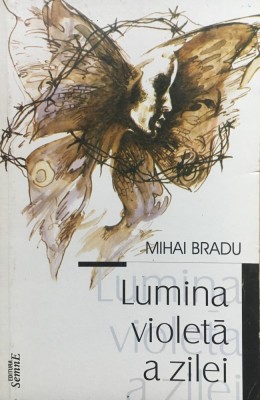 LUMINA VIOLETA A ZILEI - Mihai Bradu foto