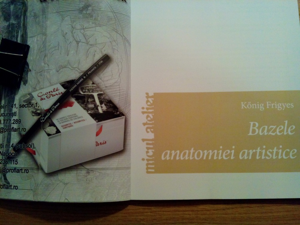 BAZELE ANATOMIEI ARTISTICE - Konig Frigyes - Editura Casa, 2013, 124 p. |  Okazii.ro