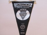 Fanion fotbal - AD Sanjoanense S&atilde;o Jo&atilde;o da Madeira (Portugalia)
