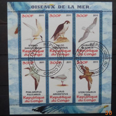 CONGO 2011 – PASARI ACVATICE, bloc stampilat, AC12