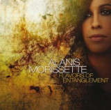 ALANIS MORISSETTE - FLAVORS OF ENTANGLEMENT, 2008, CD, Rock