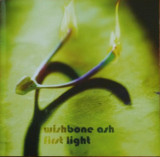 WISHBONE ASH - FIRST LIGHT, 2014, CD, Rock