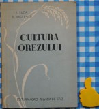 Cultura orezului I Luca N Vasilescu