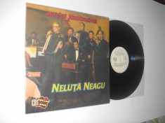 NELUTA NEAGU: Muzica Lautareasca (1991)(disc vinil mai rar in stare impecabila!) foto