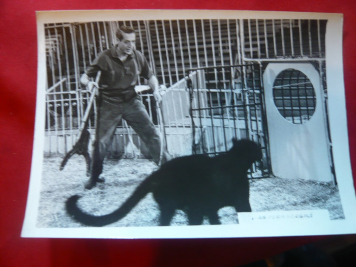 Fotografie din filmul Pantera Neagra cu Werner Diesel . dim.= 16,5 x 12 cm