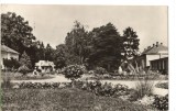 CPI (B8378) CARTE POSTALA - ORADEA, BAILE FELIX