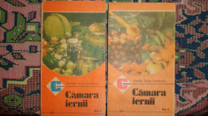 Camara iernii 2 vol./an 1989/420pagini foto