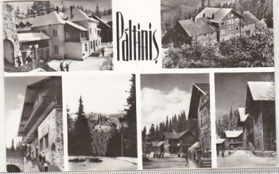 bnk cp Paltinis - Vedere - uzata foto