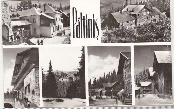 bnk cp Paltinis - Vedere - uzata