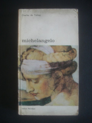 CHARLES DE TOLNAY - MICHELANGELO foto