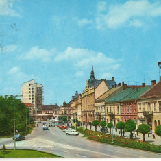 CPI (B8358) CARTE POSTALA - SATU MARE. PIATA LIBERTATII, AUTOTURISME