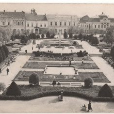 CPI (B8356) CARTE POSTALA - SATU MARE. VEDERE DIN PARC, RPR