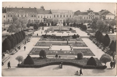 CPI (B8356) CARTE POSTALA - SATU MARE. VEDERE DIN PARC, RPR foto