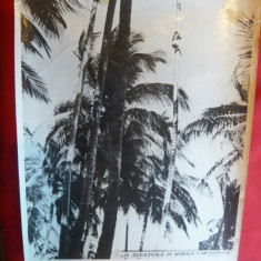 Fotografie din filmul O Aventura in Marea Caraibilor- anii '50 ,dim.=23x29 cm
