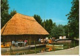 CPI (B8364) CARTE POSTALA - SATU MARE, CABANA COLIBA &quot;PAULESTI&quot;, Circulata, Fotografie