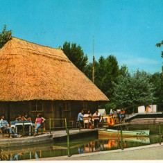 CPI (B8364) CARTE POSTALA - SATU MARE, CABANA COLIBA "PAULESTI"