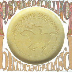 NEIL YOUNG & CRAZY HORSE - PSYCHEDELIC PILL, 2012, DUBLU CD