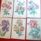 Set 12 Ilustrate- Litografii - Flori , semnate , inc.sec.XX
