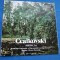 CEAIKOVSKI-SIMFONIA NR.4