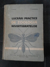 LUCRARI PRACTICE DE ZOOLOGIA NEVERTEBRATELOR - Z. Matic, C. Darabantu -1965,222p foto