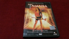 FILM DVD TAMARA foto