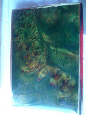 Tabachera aurita in interior ,cu email -Peisaj ,dim.interioare= 6x9,5 cm foto