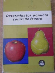 Determinator Pomicol Soiuri De Fructe Vol.1 Mere, Pere, Gutui - T. Bordeianu, V. Cociu, Gh. Stanciu ,396181 foto