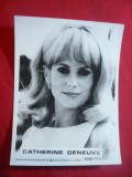 Fotografia Actritei Catherine Deneuve , dim.= 9x11,5 cm