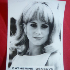 Fotografia Actritei Catherine Deneuve , dim.= 9x11,5 cm