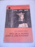 Cumpara ieftin RADU DE LA AFUMATI DOMN AL TARII ROMANESTI-PETRU DEMETRU POPESCU COL.ORIZONTURI