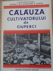 Calauza Cultivatorului De Ciuperci - N. Mateescu, Ec. V. Benea ,396250 foto
