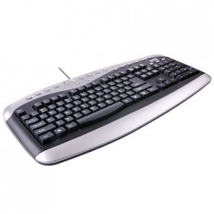 Tastatura Multimedia Bravo Intex It813 Ps2 foto