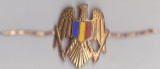 Insigna/ Semn de arma Miltara anii 90