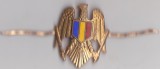 Insigna/ Semn de arma Miltara anii 90