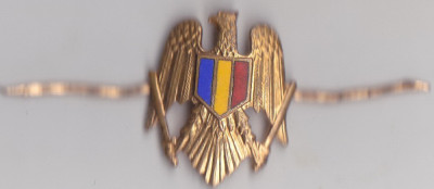 Insigna/ Semn de arma Miltara anii 90 foto