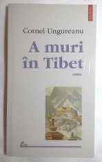 Cornel Ungureanu - A muri in Tibet foto