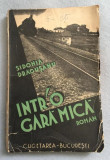 Sidonia Dragusanu INTR &#039; O INTR-O GARA MICA volum de debut