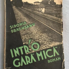 Sidonia Dragusanu INTR ' O INTR-O GARA MICA volum de debut
