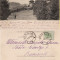 Sinaia (clasica) - Castelul Peles -1900- Editura Rommler Jonas