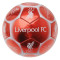 Oferta! Minge Fotbal Team Liverpool originala - cu autografele jucatorilor