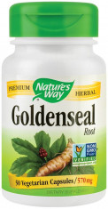 Goldenseal rott 50cps Secom foto