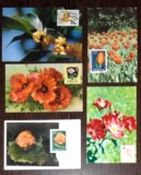 FLORI. LOT 5 ILUSTRATE MNH CU TIMBRU. CP4