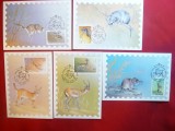 Set 5 Maxime - Serie Fauna 1985 URSS