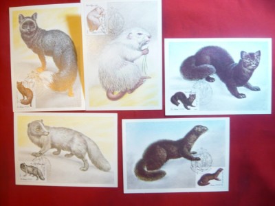 Set 5 Maxime - Serie ZFauna 1980 URSS foto