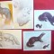 Set 5 Maxime - Serie ZFauna 1980 URSS