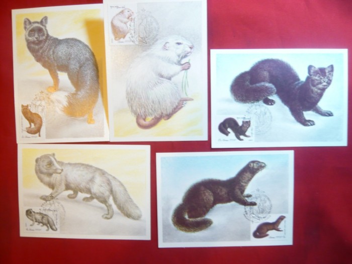 Set 5 Maxime - Serie ZFauna 1980 URSS