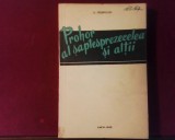 G. Troepolski Prohor al saptesprezecelea si altii