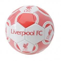 Oferta! Minge Team Liverpool - marimea 1 foto