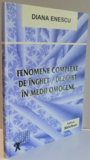 FENOMENE COMPLEXE DE INGHET / DEZGHET IN MEDII OMOGENE de DIANA ENESCU , 2005 foto