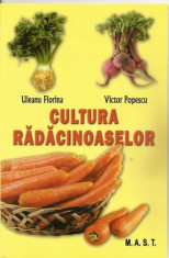 Florina Uleanu - Cultura radacinoaselor - 37370 foto